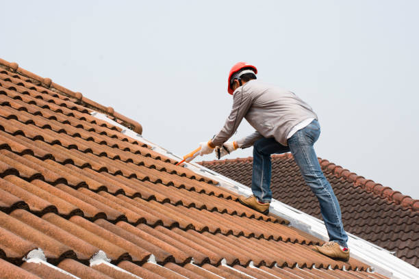 Best Metal Roofing Installation  in Loveland, CO