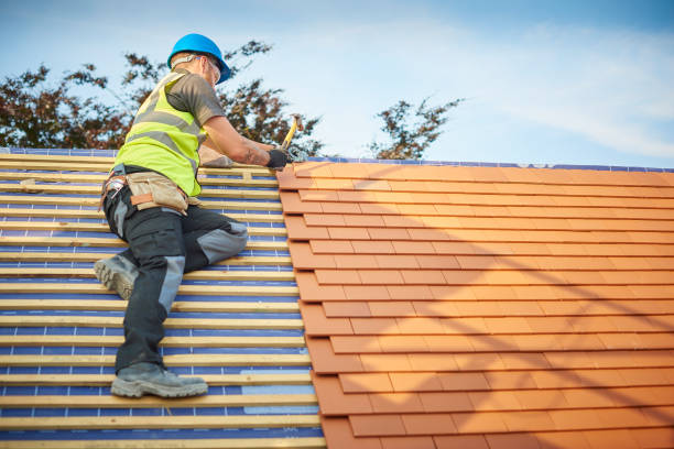 Best Sheet Metal Roofing  in Loveland, CO